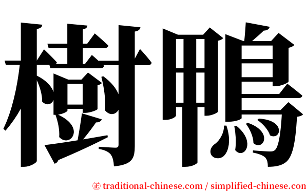 樹鴨 serif font