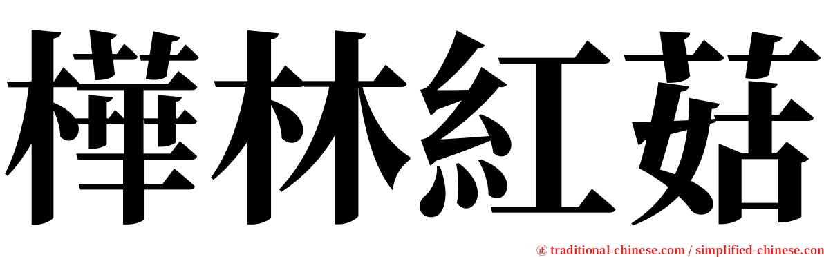 樺林紅菇 serif font