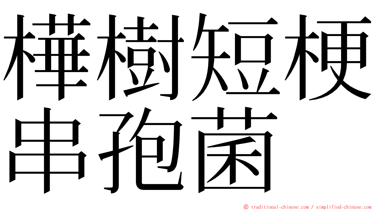 樺樹短梗串孢菌 ming font