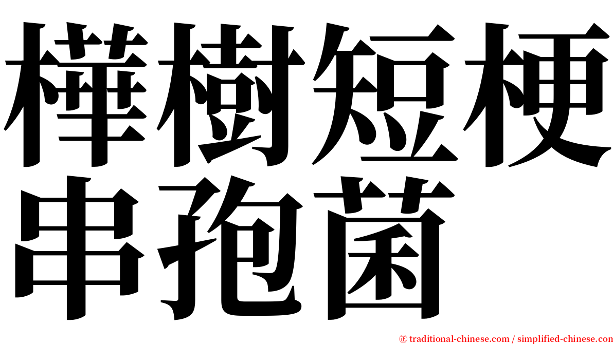 樺樹短梗串孢菌 serif font