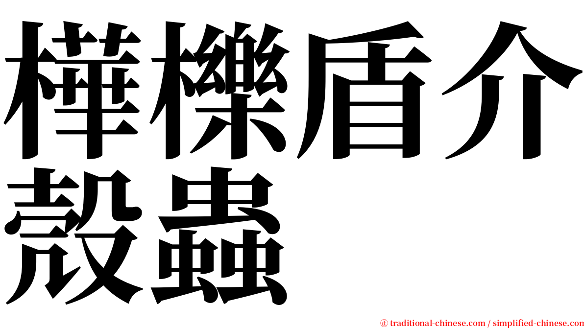 樺櫟盾介殼蟲 serif font