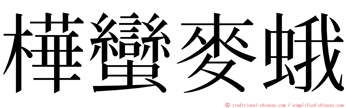 樺蠻麥蛾 ming font