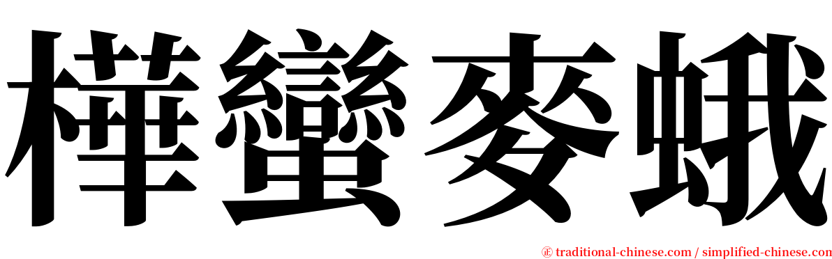 樺蠻麥蛾 serif font