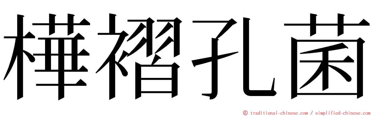 樺褶孔菌 ming font