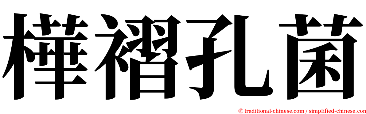 樺褶孔菌 serif font