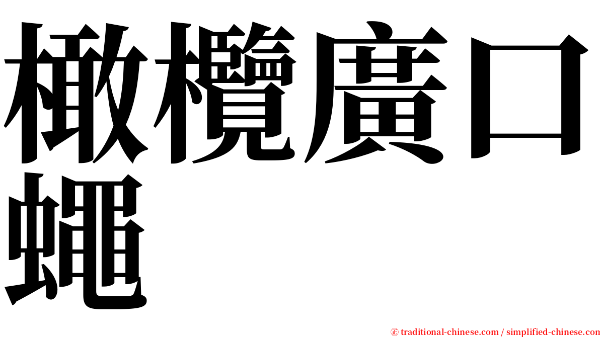 橄欖廣口蠅 serif font