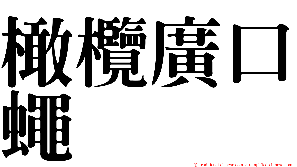 橄欖廣口蠅