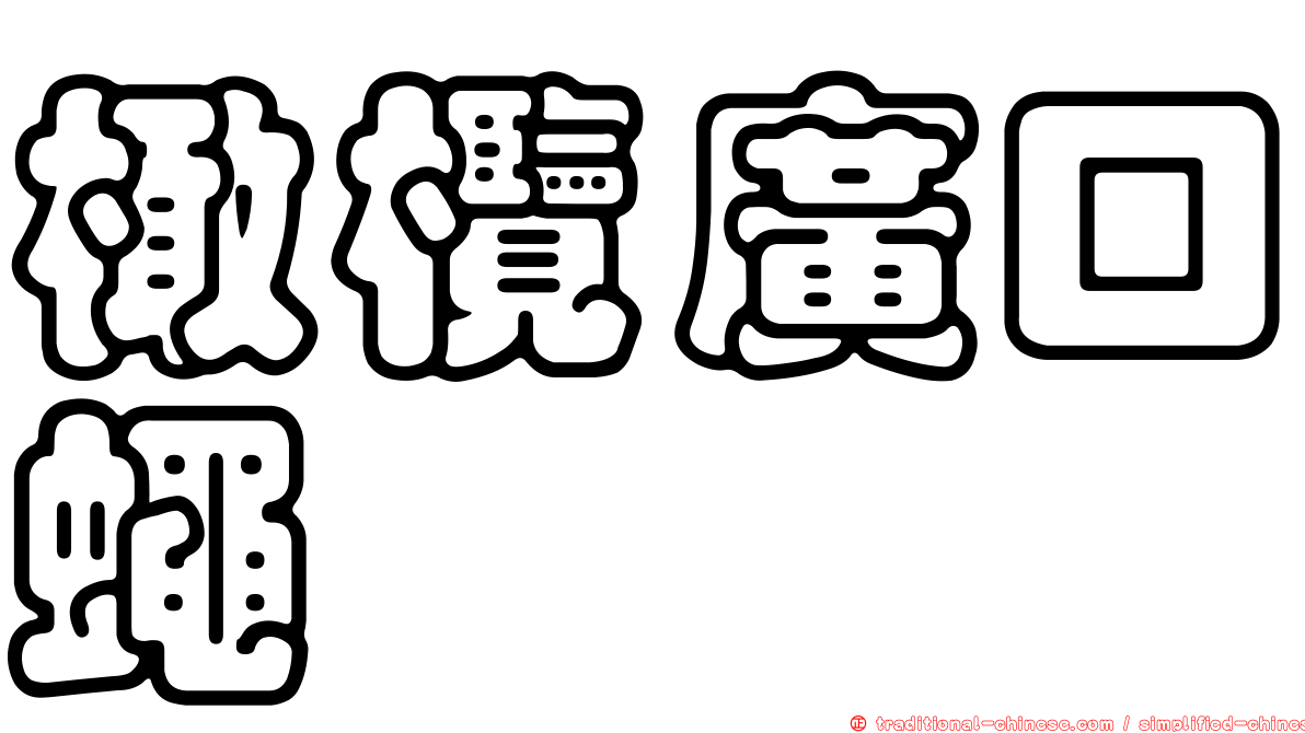 橄欖廣口蠅