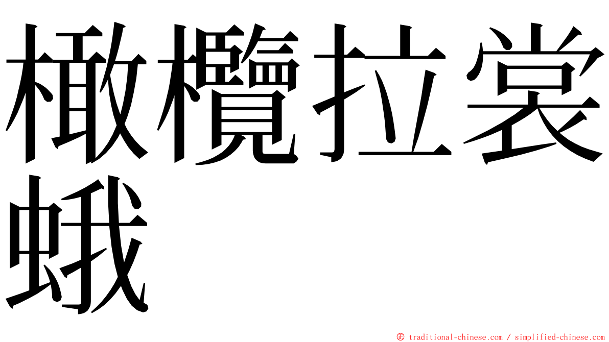 橄欖拉裳蛾 ming font