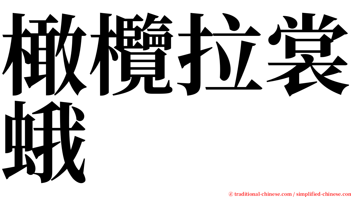 橄欖拉裳蛾 serif font