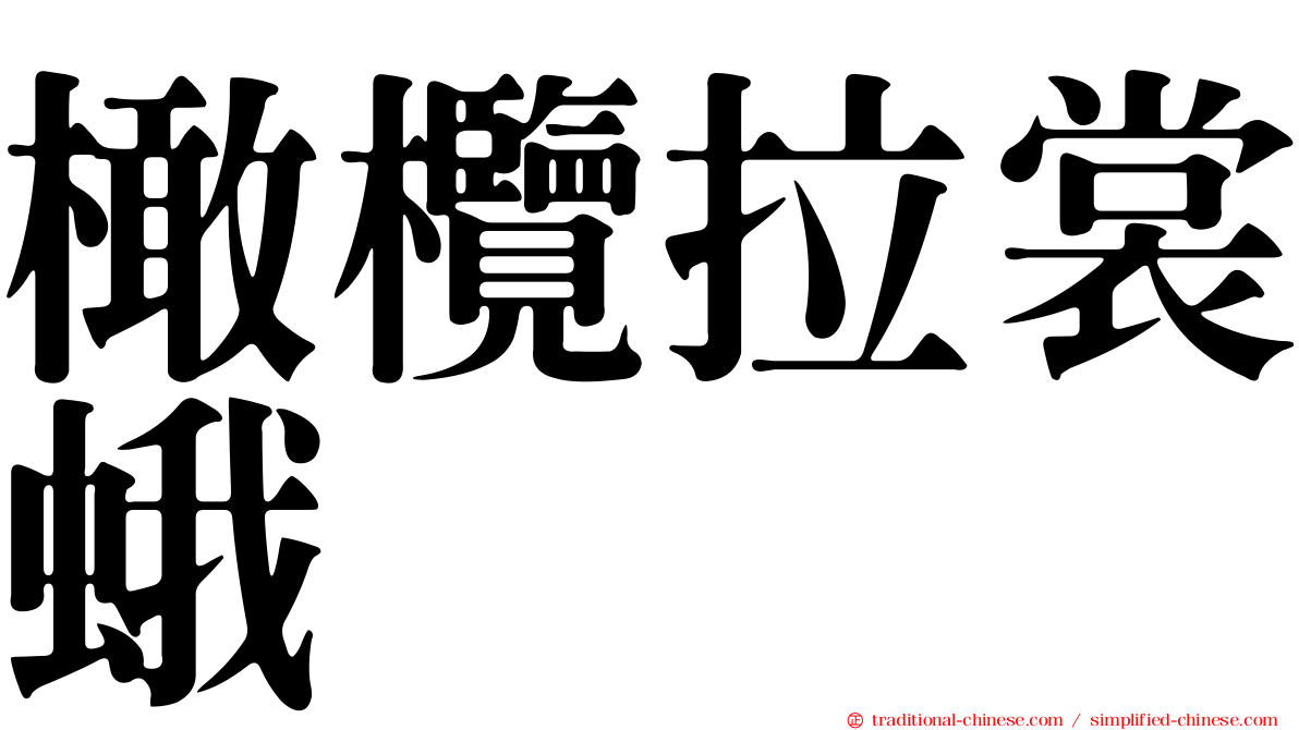 橄欖拉裳蛾