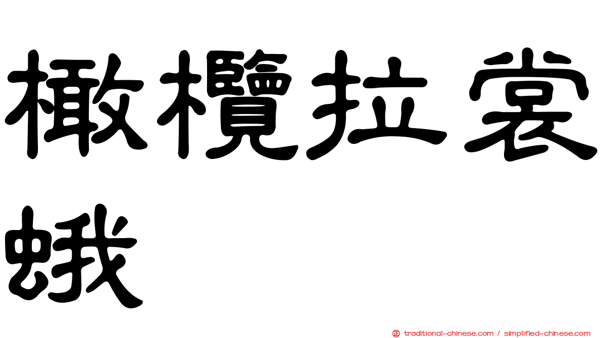 橄欖拉裳蛾