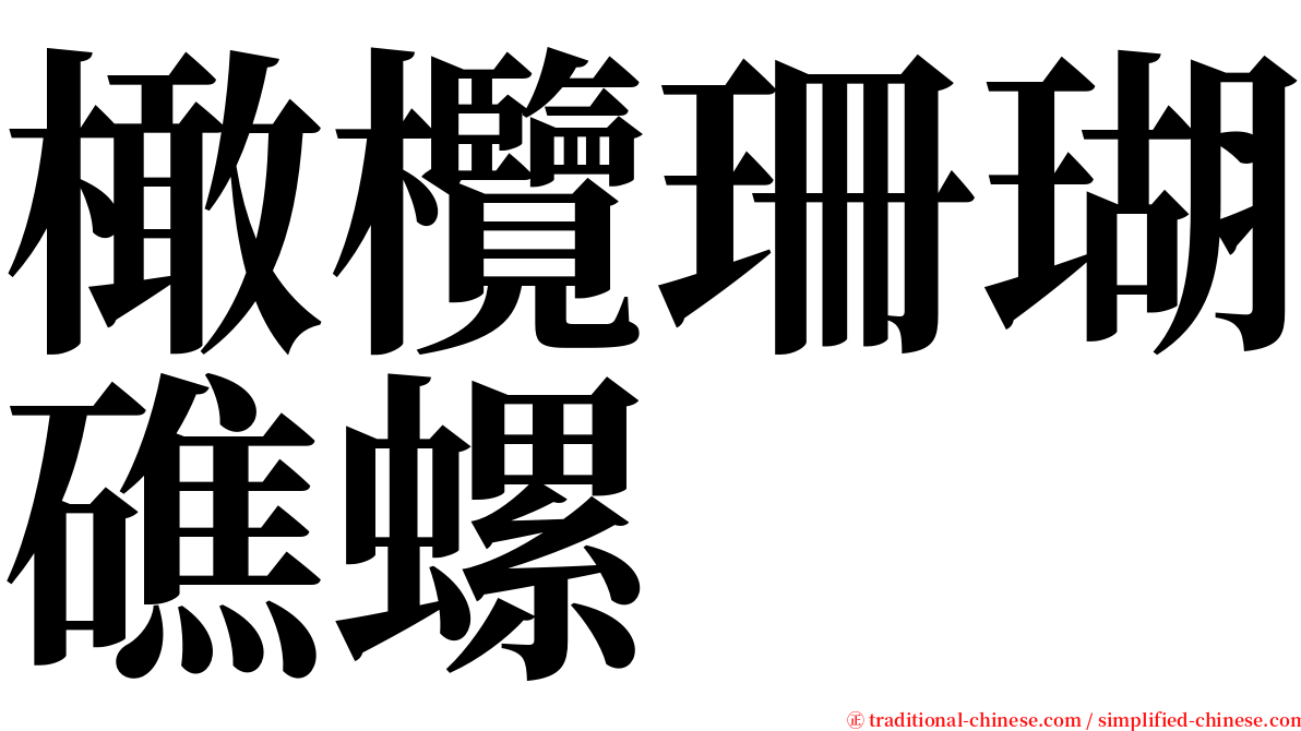 橄欖珊瑚礁螺 serif font