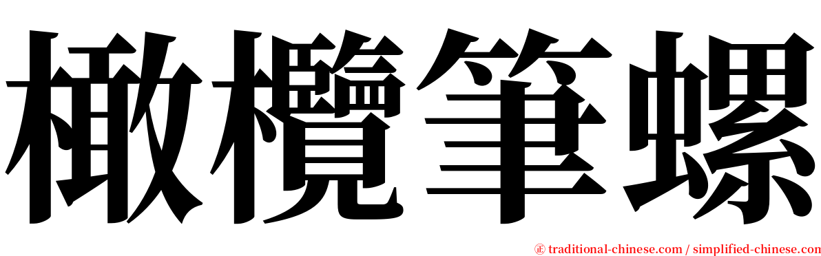 橄欖筆螺 serif font