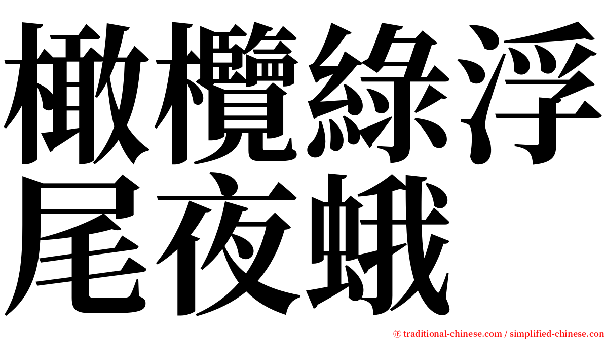 橄欖綠浮尾夜蛾 serif font