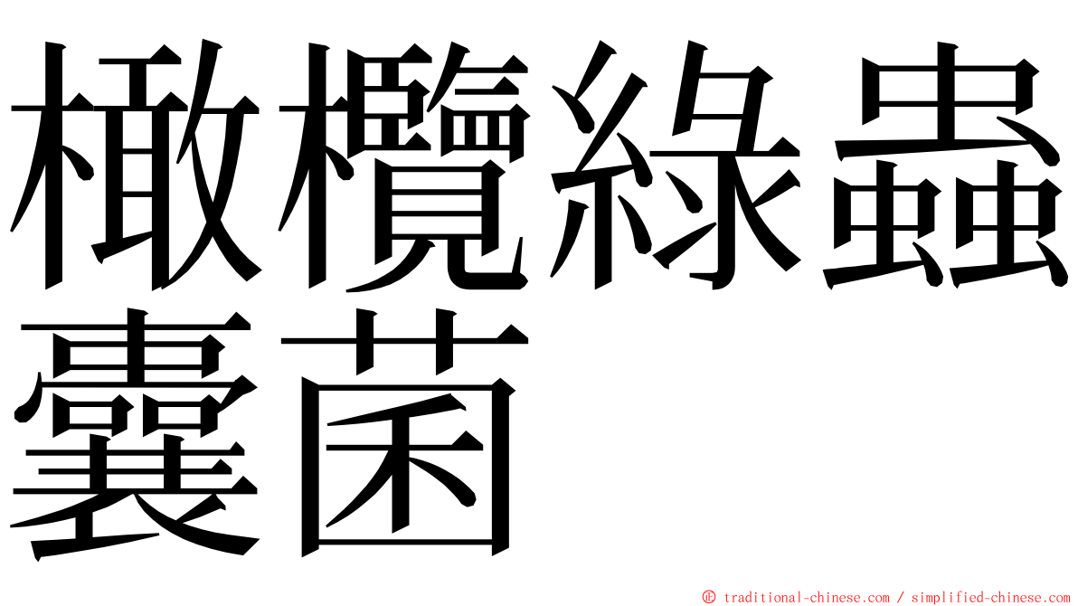 橄欖綠蟲囊菌 ming font
