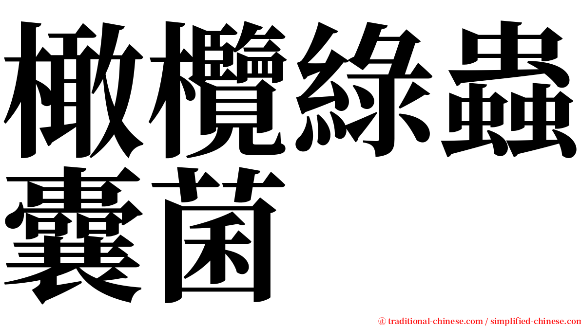 橄欖綠蟲囊菌 serif font