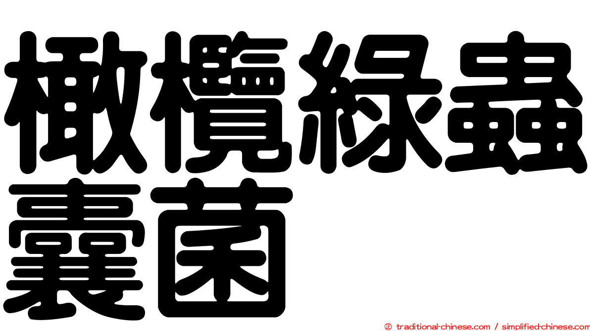 橄欖綠蟲囊菌