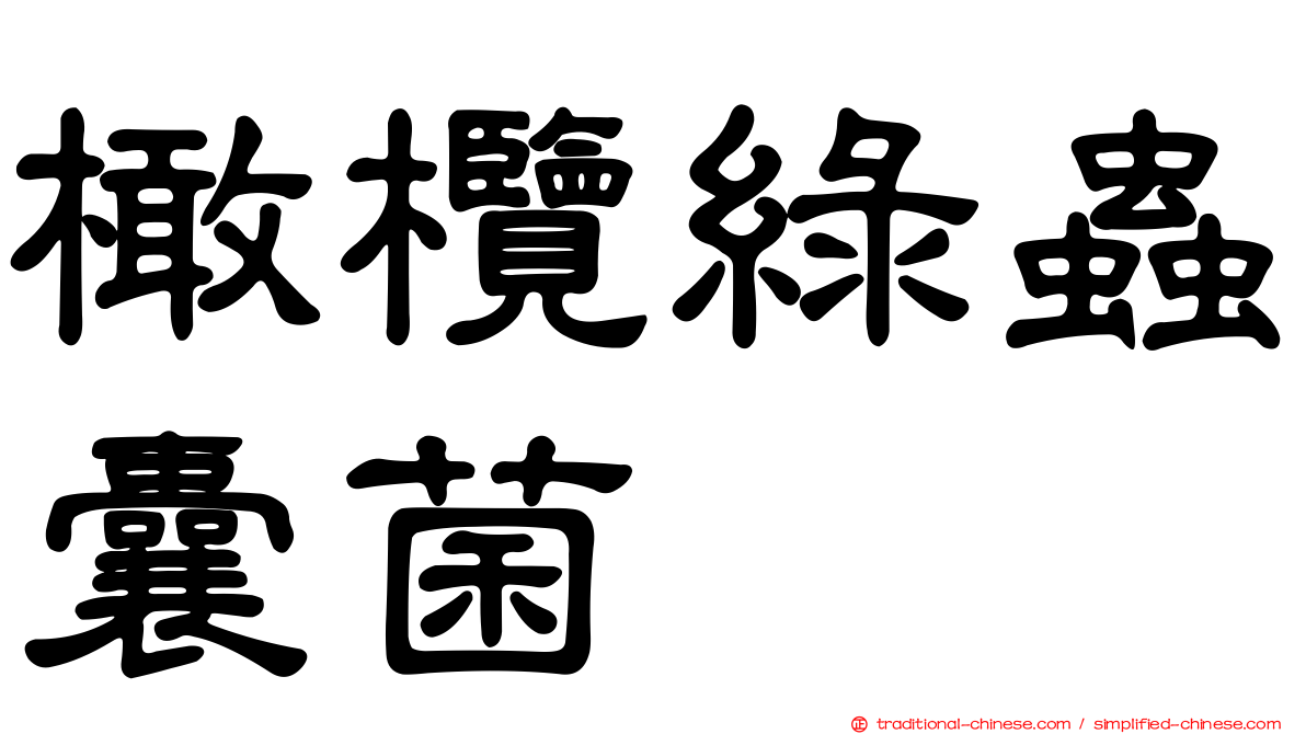 橄欖綠蟲囊菌