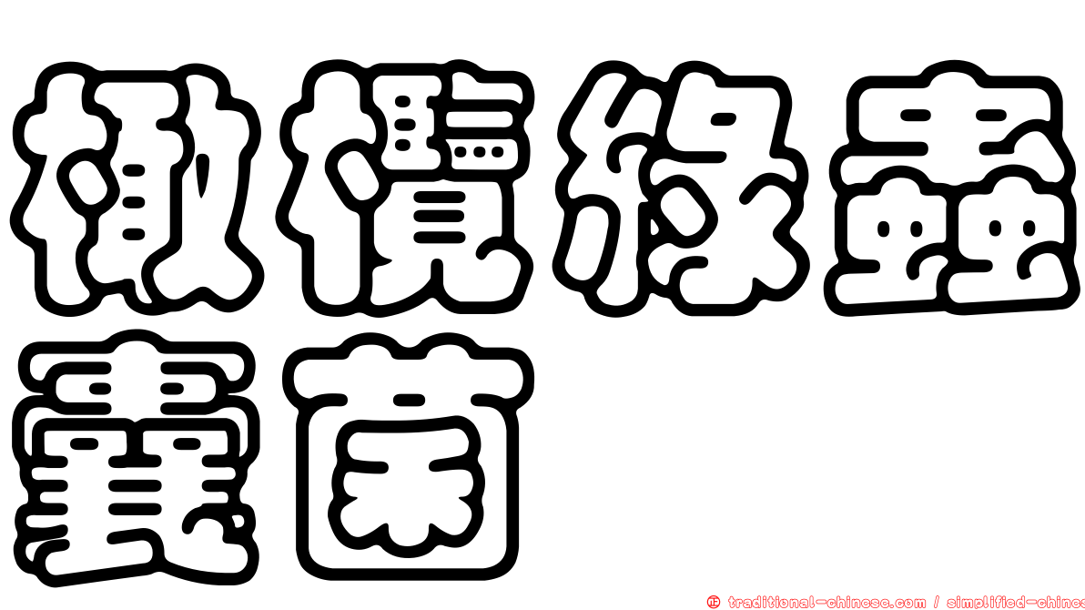 橄欖綠蟲囊菌