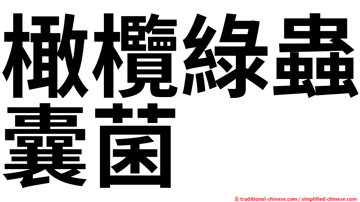 橄欖綠蟲囊菌