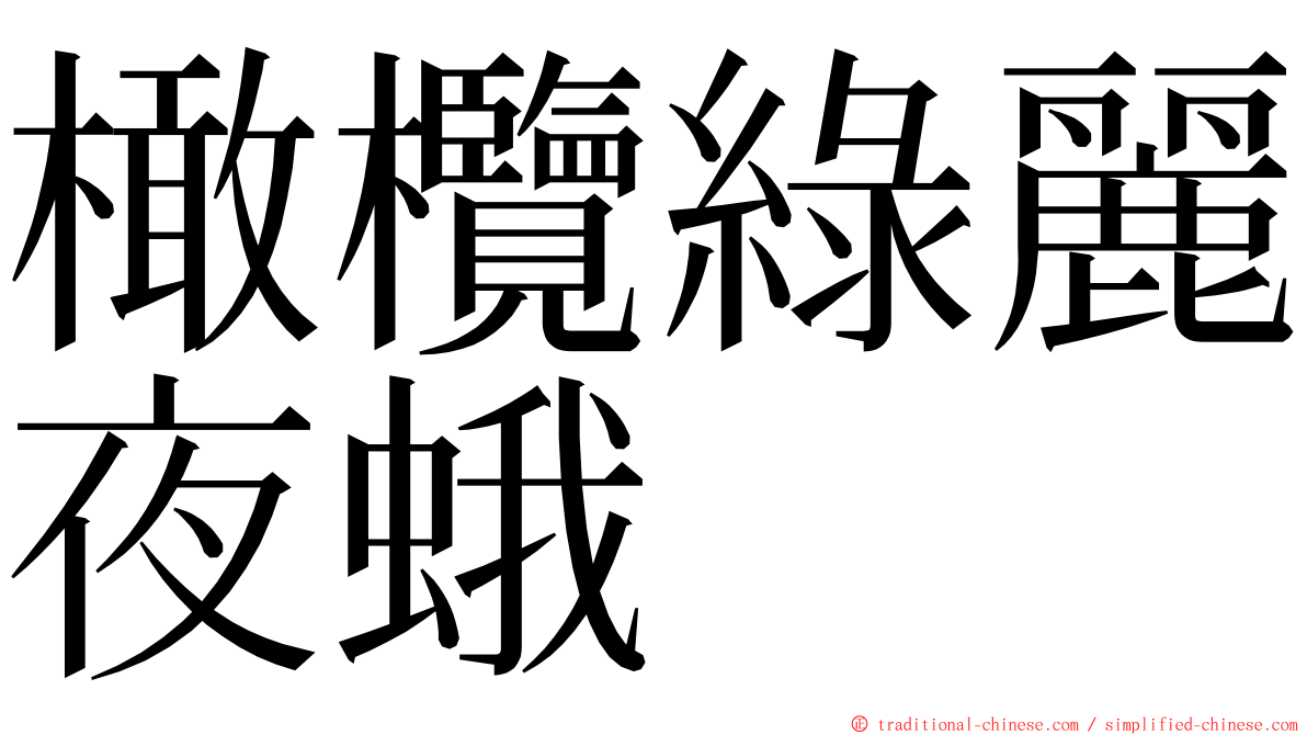 橄欖綠麗夜蛾 ming font