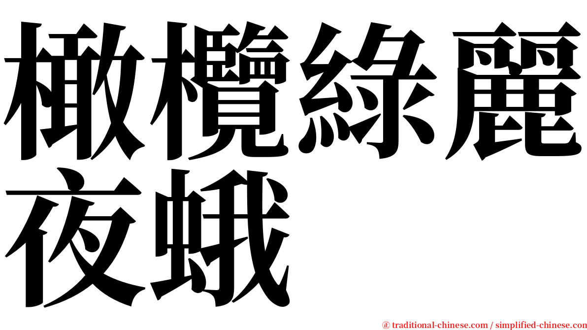 橄欖綠麗夜蛾 serif font