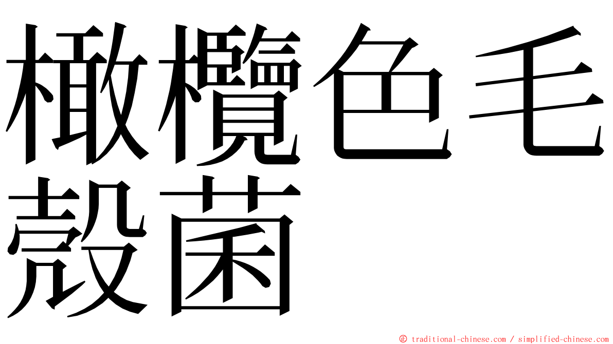 橄欖色毛殼菌 ming font