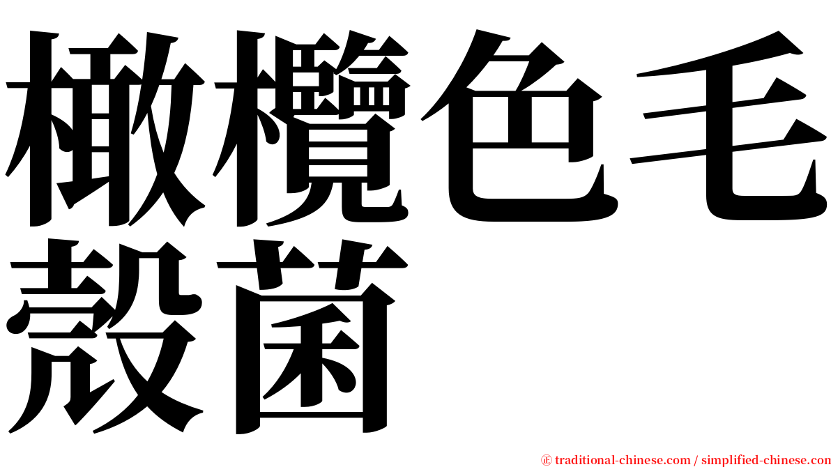 橄欖色毛殼菌 serif font