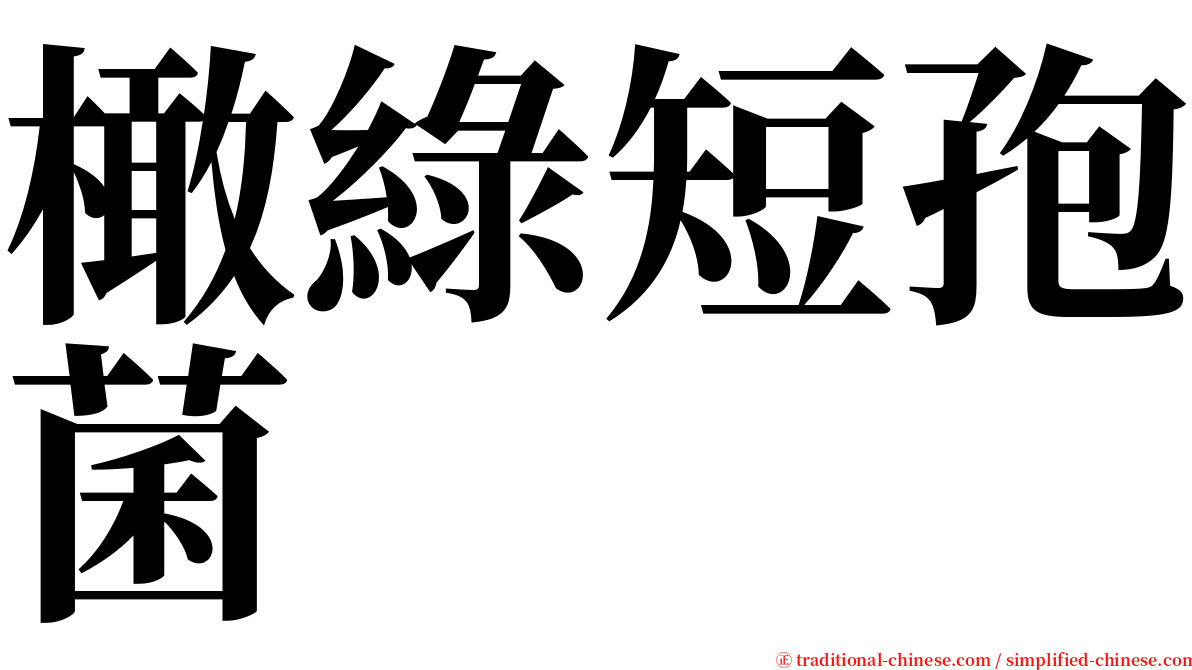 橄綠短孢菌 serif font