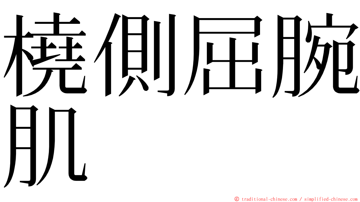 橈側屈腕肌 ming font