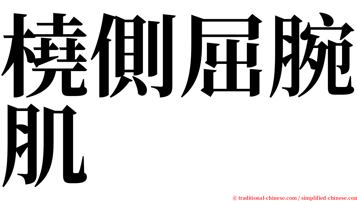 橈側屈腕肌 serif font