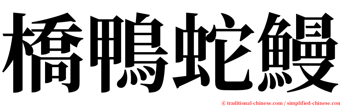 橋鴨蛇鰻 serif font