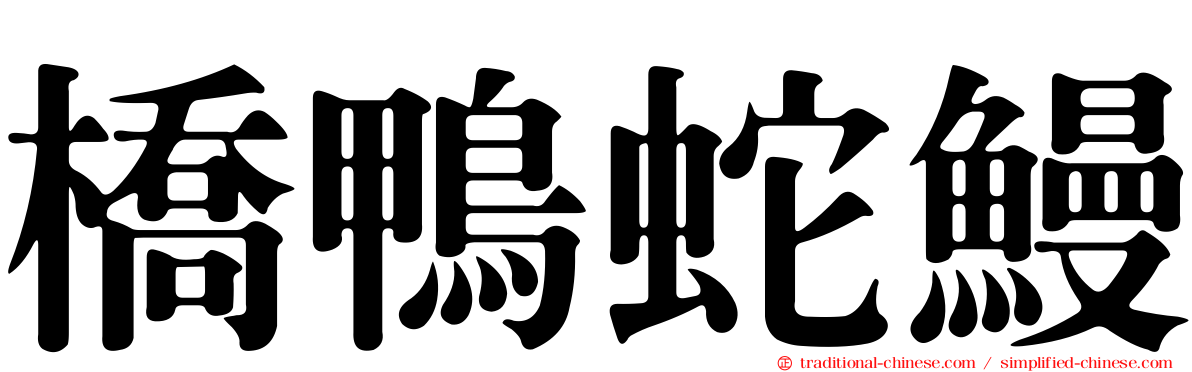 橋鴨蛇鰻