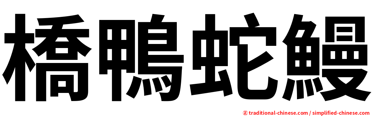 橋鴨蛇鰻