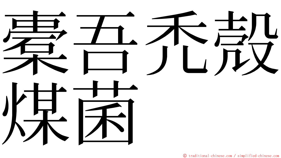 橐吾禿殼煤菌 ming font