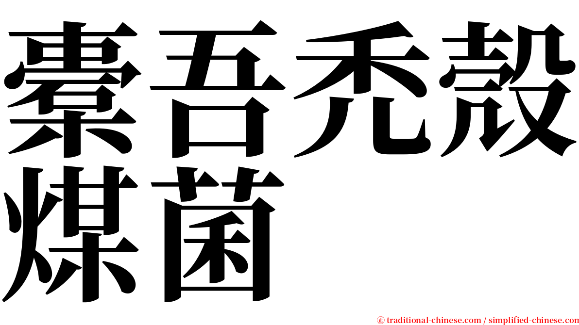 橐吾禿殼煤菌 serif font