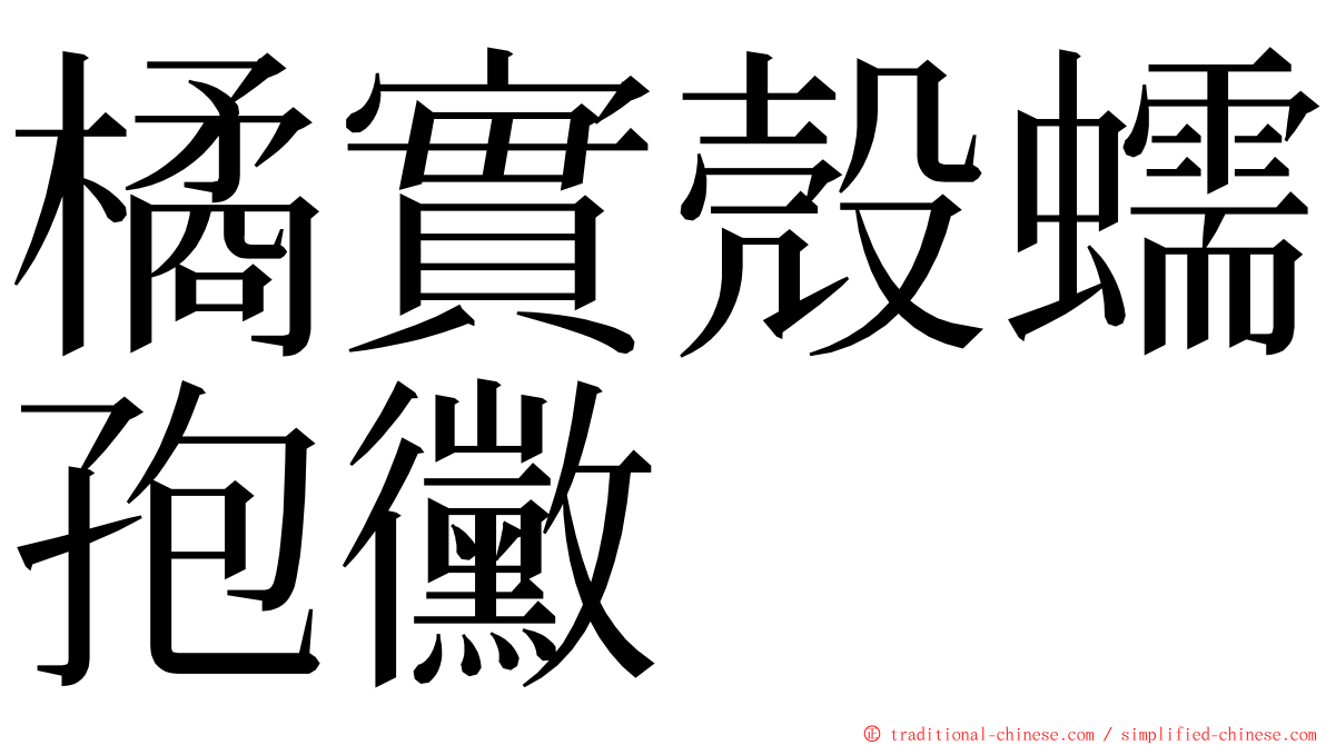 橘實殼蠕孢黴 ming font