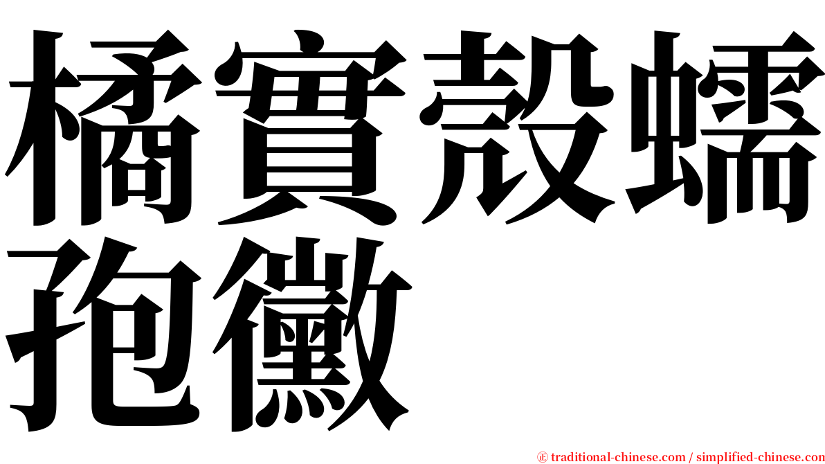 橘實殼蠕孢黴 serif font