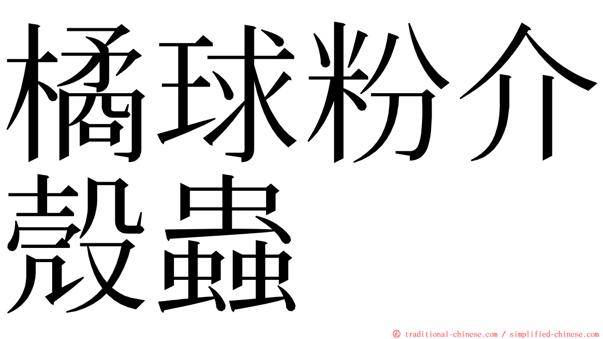 橘球粉介殼蟲 ming font