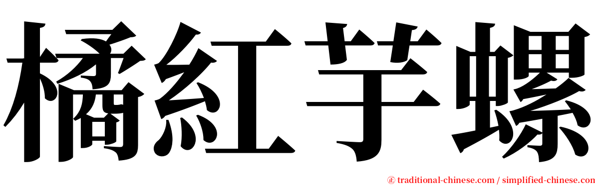 橘紅芋螺 serif font