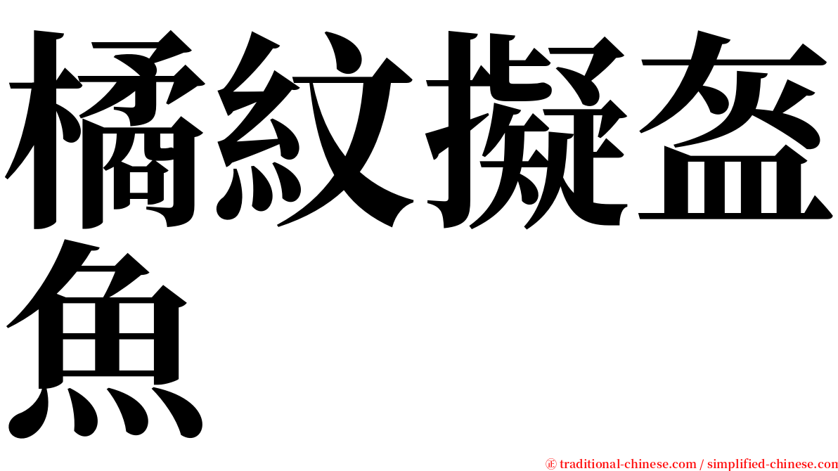 橘紋擬盔魚 serif font