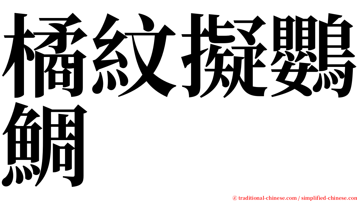 橘紋擬鸚鯛 serif font