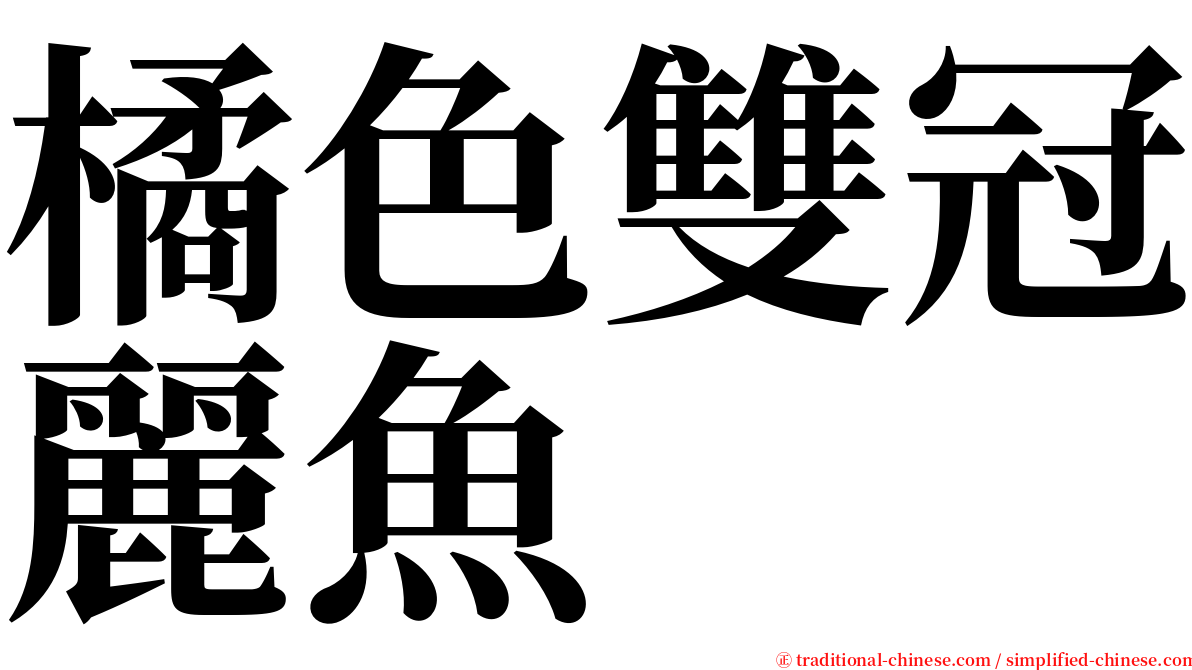 橘色雙冠麗魚 serif font