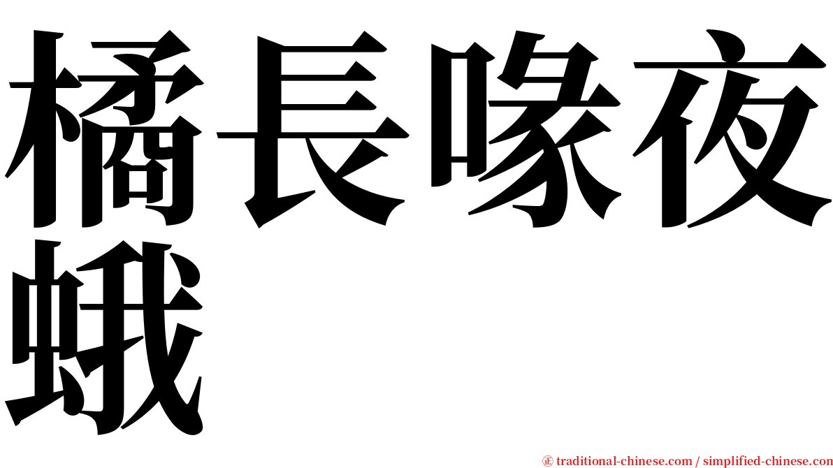 橘長喙夜蛾 serif font