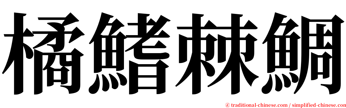 橘鰭棘鯛 serif font