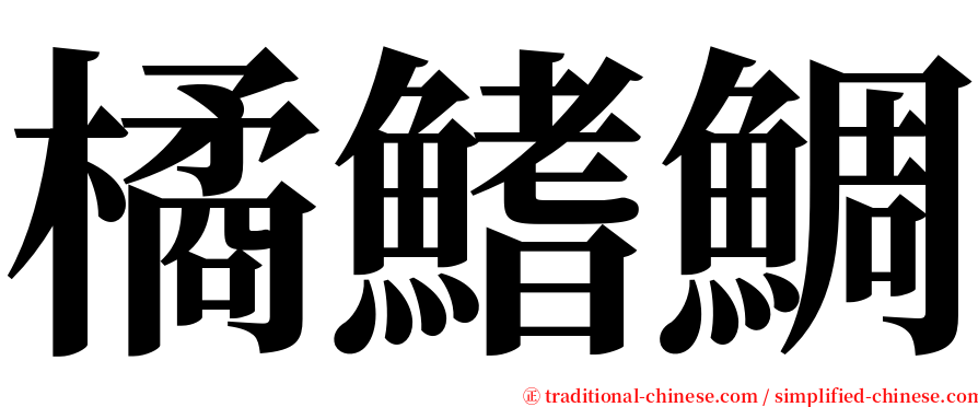 橘鰭鯛 serif font