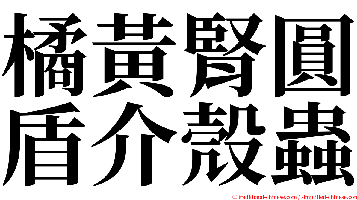 橘黃腎圓盾介殼蟲 serif font