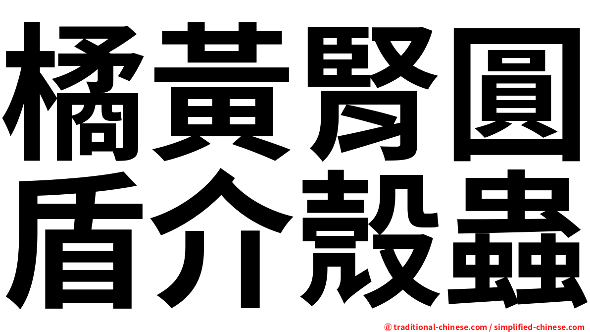 橘黃腎圓盾介殼蟲