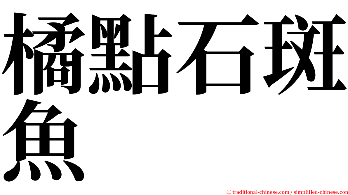 橘點石斑魚 serif font